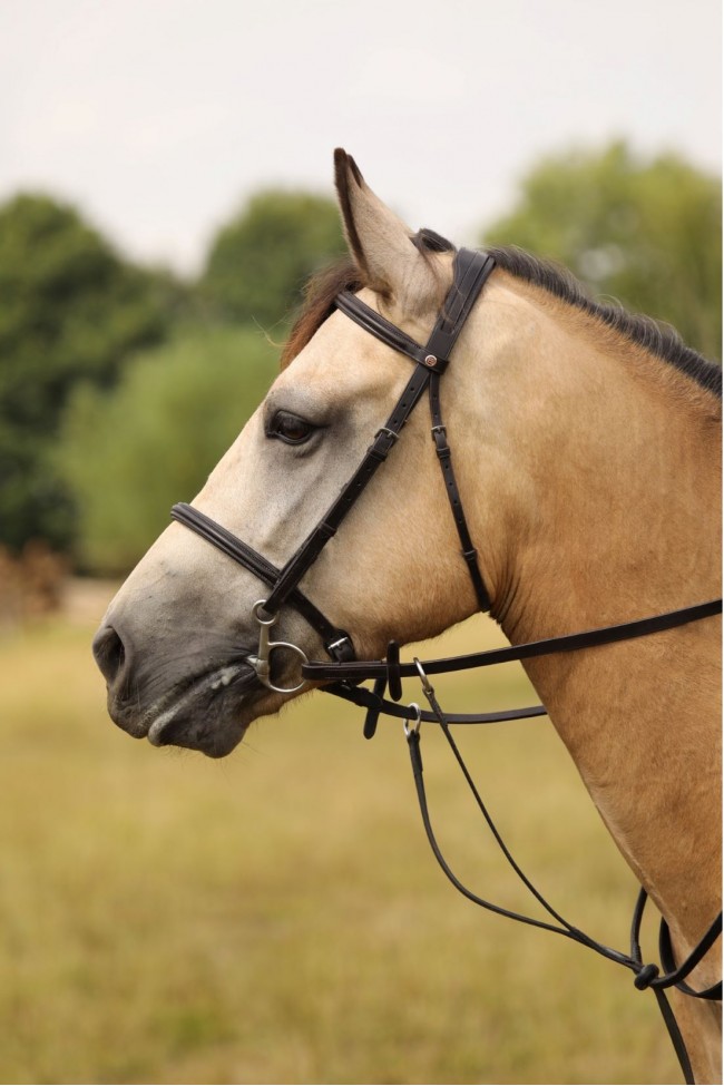 Pony bridle on sale